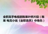 全职高手电视剧陈果叶修片段（陈果 电竞小说《全职高手》中角色）