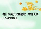有什么关于兄弟的歌（有什么关于兄弟的歌）