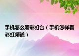 手机怎么看彩虹台（手机怎样看彩虹频道）