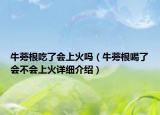 牛蒡根吃了会上火吗（牛蒡根喝了会不会上火详细介绍）