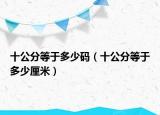 十公分等于多少码（十公分等于多少厘米）