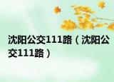 沈阳公交111路（沈阳公交111路）