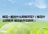 桂花一般在什么时候开花?（桂花什么时候开 桂花的开花时间）