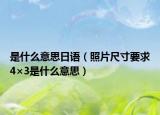 是什么意思日语（照片尺寸要求4×3是什么意思）