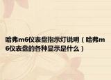 哈弗m6仪表盘指示灯说明（哈弗m6仪表盘的各种显示是什么）