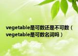 vegetable是可数还是不可数（vegetable是可数名词吗）