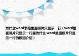 为什么word表格里面照片只显示一行（word里面照片只显示一行是为什么 word里面照片只显示一行的原因介绍）