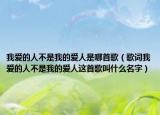 我爱的人不是我的爱人是哪首歌（歌词我爱的人不是我的爱人这首歌叫什么名字）