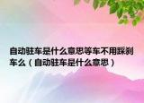 自动驻车是什么意思等车不用踩刹车么（自动驻车是什么意思）