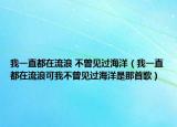 我一直都在流浪 不曾见过海洋（我一直都在流浪可我不曾见过海洋是那首歌）
