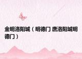 金明洛阳城（明德门 唐洛阳城明德门）