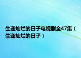 生逢灿烂的日子电视剧全47集（生逢灿烂的日子）