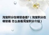 淘宝积分在哪里查看?（淘宝积分在哪里看 怎么查看淘宝积分介绍）