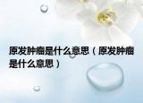 原发肿瘤是什么意思（原发肿瘤是什么意思）