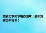 爱新觉罗努尔哈赤图片（爱新觉罗努尔哈赤）