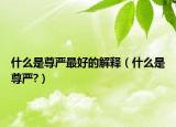 什么是尊严最好的解释（什么是尊严?）