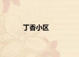 丁香小区