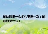 制动液是什么多久更换一次（制动液是什么）