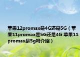 苹果12promax是4G还是5G（苹果11promax是5G还是4G 苹果11promax是5g吗介绍）