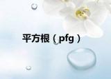 平方根（pfg）