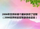2006年世界杯哪个国家获得了冠军（2006世界杯的冠军获得者是谁）