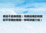 黄码不能做核酸（持黄码做的核酸和平常做的核酸一样吗详细介绍）