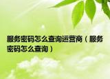 服务密码怎么查询运营商（服务密码怎么查询）