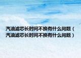 汽油滤芯长时间不换有什么问题（汽油滤芯长时间不换有什么问题）