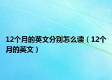12个月的英文分别怎么读（12个月的英文）