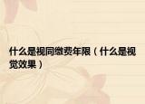 什么是视同缴费年限（什么是视觉效果）