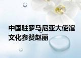 中国驻罗马尼亚大使馆文化参赞赵丽