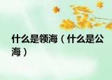 什么是领海（什么是公海）