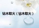 钻木取火（钻木取火）