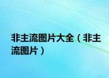 非主流图片大全（非主流图片）