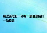 屡试屡成打一动物（屡试屡成打一动物名）