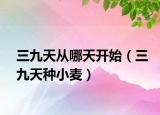 三九天从哪天开始（三九天种小麦）