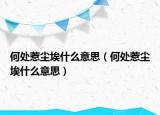 何处惹尘埃什么意思（何处惹尘埃什么意思）