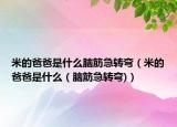 米的爸爸是什么脑筋急转弯（米的爸爸是什么（脑筋急转弯)）