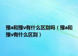 豫a和豫v有什么区别吗（豫a和豫v有什么区别）