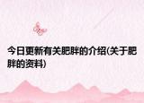 今日更新有关肥胖的介绍(关于肥胖的资料)
