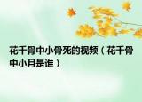花千骨中小骨死的视频（花千骨中小月是谁）