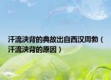 汗流浃背的典故出自西汉周勃（汗流浃背的原因）
