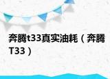 奔腾t33真实油耗（奔腾T33）