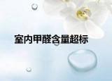 室内甲醛含量超标