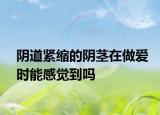 阴道紧缩的阴茎在做爱时能感觉到吗