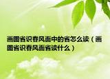 画图省识春风面中的省怎么读（画图省识春风面省读什么）