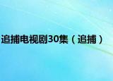 追捕电视剧30集（追捕）