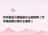 竹外桃花三两枝是什么意思啊（竹外桃花两三枝什么意思）