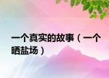 一个真实的故事（一个晒盐场）