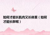 如何才能长肌肉又长体重（如何才能长胖呢）
